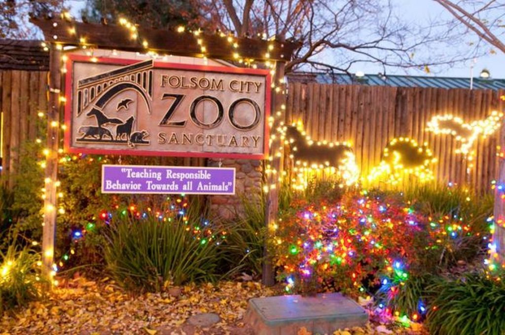 Wild Nights & Holiday Lights - Winter Activities for Kids in Sacramento