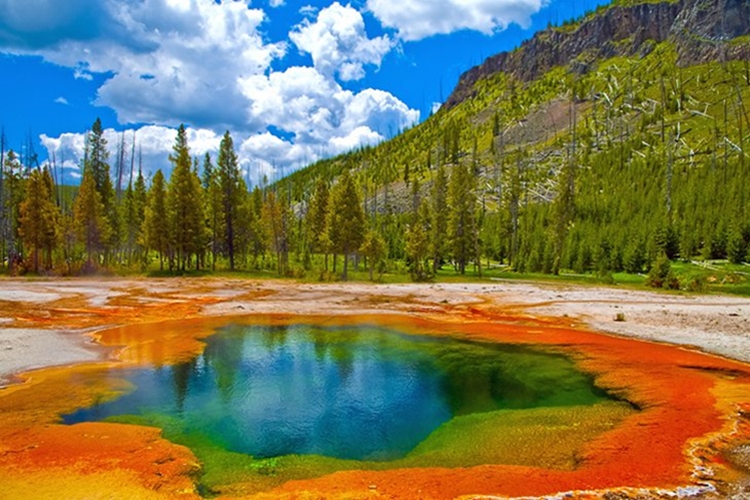 Yellowstone National Park, Wyoming - school is out due to the COVID-19 