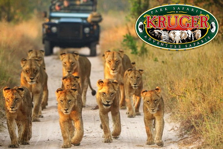 Kruger Park Safari - zoos and theme parks