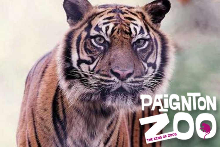 Paignton Zoo - virtual trip