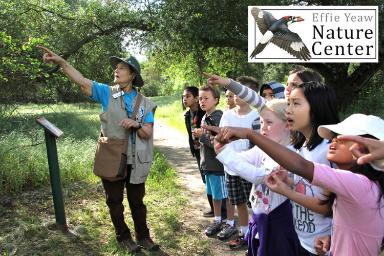 Effie Yeaw Nature Center - fun things to do in Sacramento