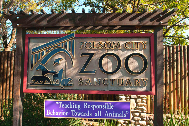 Folsom Zoo Sanctuary - fun things to do in Sacramento