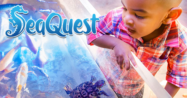 SeaQuest offers a private event venue ideal for birthday parties & beyond.